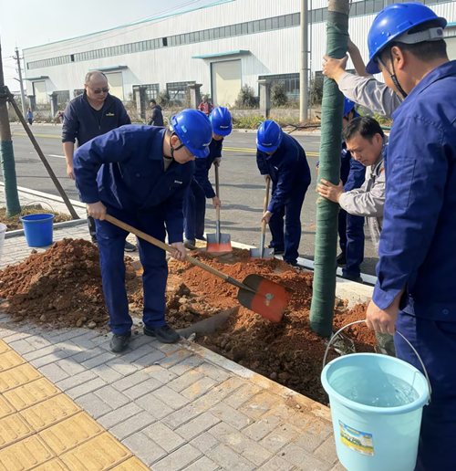 植一抹新綠，種一份希望